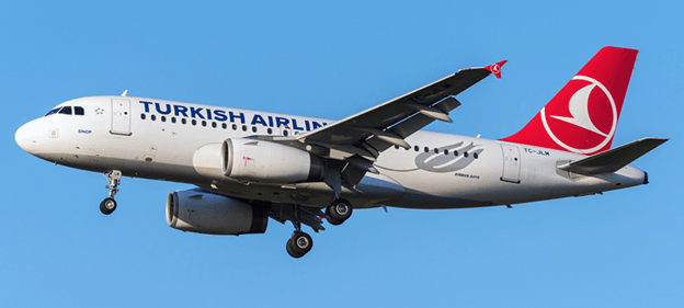 Airbus A319 - Shrunken Version of A320
